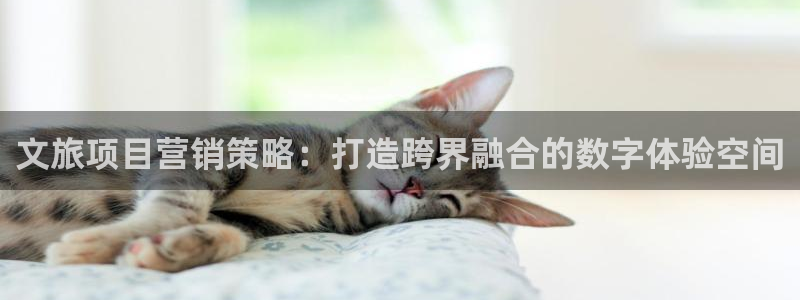 必赢app能挣钱吗