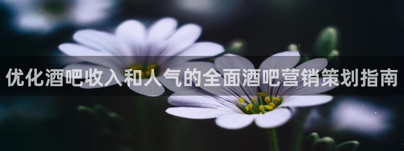 必赢棋脾