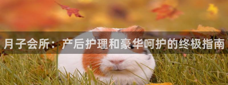 必赢网址谁知道的