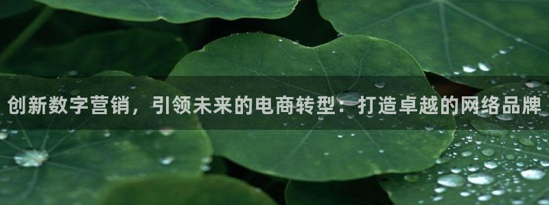 必赢国际437pay,comapp