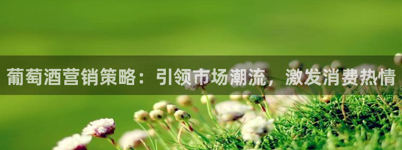 必赢下载安卓版