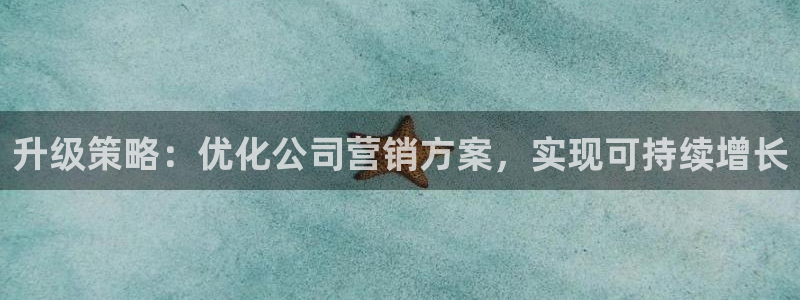 必赢3003平台